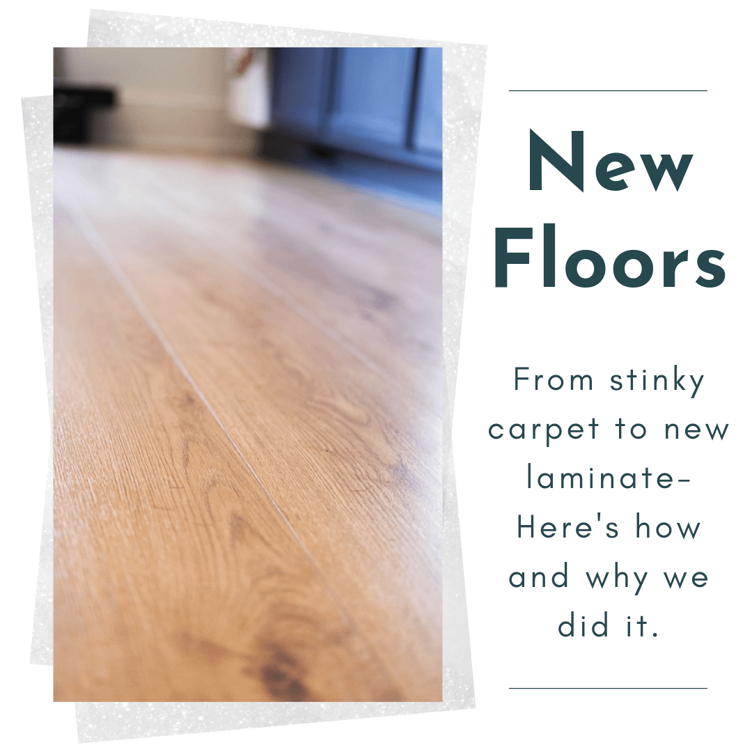 New laminate wood floors at Little River House by Becca McLagan Real Estate